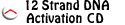 Interdimensional 12 Strand Dna Activation Download Torrent